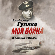 В бой на «Ил-2». Нас называли «черной смертью»