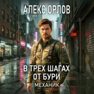 В трех шагах от бури. Механик