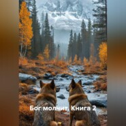 Бог молчит. Книга 2