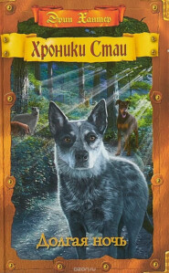 Долгая ночь