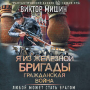 Я из Железной бригады. Гражданская война