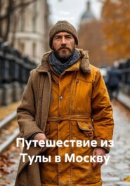Путешествие из Тулы в Москву