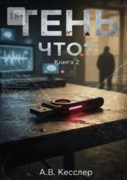 Тень: Книга 2. Что?