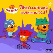 Три кота. Приключения начинаются!