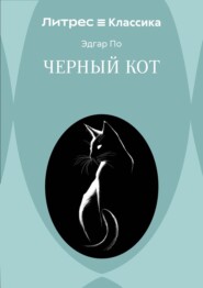 Черный кот