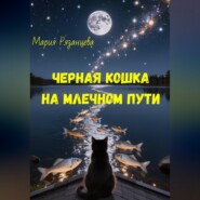 Черная кошка на Млечном пути