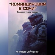 "Командировка в Сочи"  Дольмен. Книга первая.