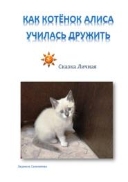 Как котёнок Алиса училась дружить