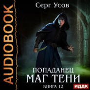 Попаданец. Маг Тени. Книга 12