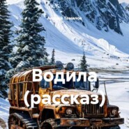 Водила (рассказ)