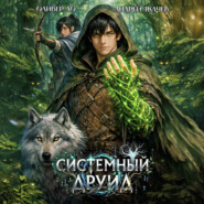 Системный Друид. Том 1