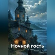 Ночной гость