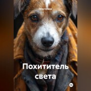 Похититель света