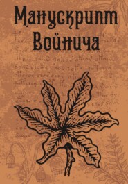 Манускрипт Войнича