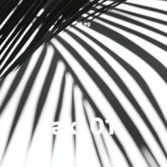 ak_01