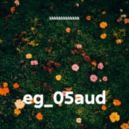 eg_05aud