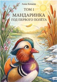 Мандаринка. Год первого полёта. Том 1