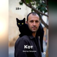 Кот