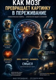 Как мозг превращает картинку в переживание