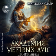 Академия мёртвых душ. Книга 4. Целительница