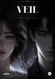 VEIL