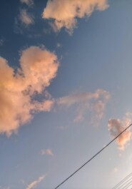 Человечество в поисках смысла которое его же и потеряло