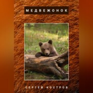 Медвежонок
