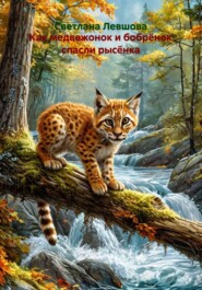 Как медвежонок и бобрёнок спасли рысёнка