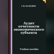 Аудит отчетности экономического субъекта