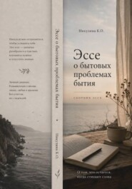 Эссе о бытовых проблемах бытия
