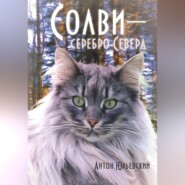 Солви - серебро Севера