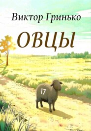 Овцы