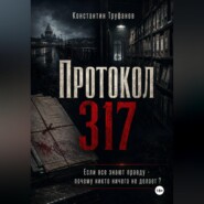 Протокол 317