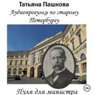 Пуля для министра: история одного покушения