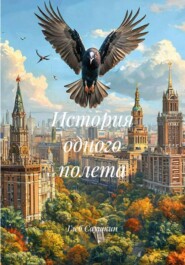 История одного полета