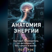 Анатомия энергии