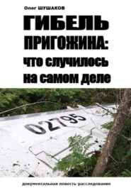Гибель Пригожина: что случилось на самом деле