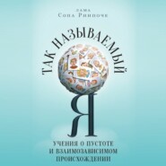 Так называемый Я. Учения о пустоте и взаимозависимом происхождении
