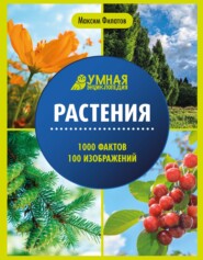 Растения