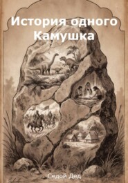 История одного Камушка