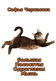Большая Полосатая Одноглазая Мышь