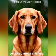 Апельсиновый пёс
