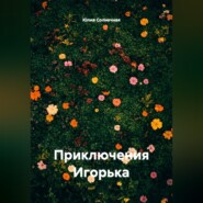 Приключения Игорька