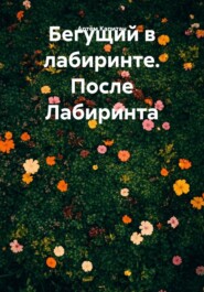 Бегущий в лабиринте. После Лабиринта