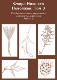 Флора Нижнего Поволжья. Том 3. Часть 2. Спайнолепестные двудольные сосудистые растения (Asteraceae). Дополнения к предыдущим томам