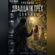 Правило двадцати трёх секунд