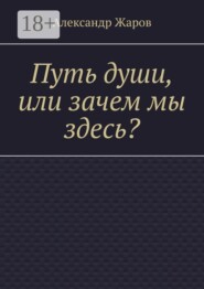 Путь души, или зачем мы здесь?
