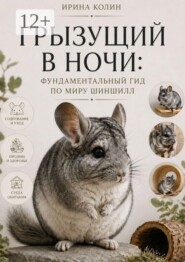 Грызущий в ночи: фундаментальный гид по миру шиншилл