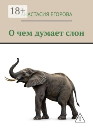 О чем думает слон