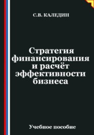 Стратегия финансирования и расчёт эффективности бизнеса